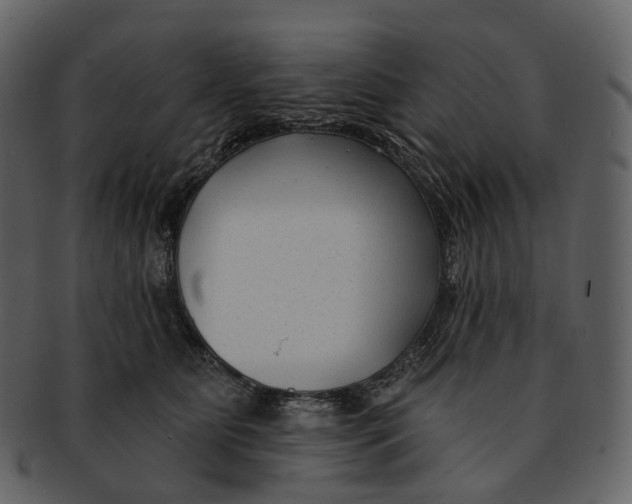 X0000093090515200710171141