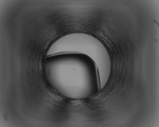 X0000093090516200710171141