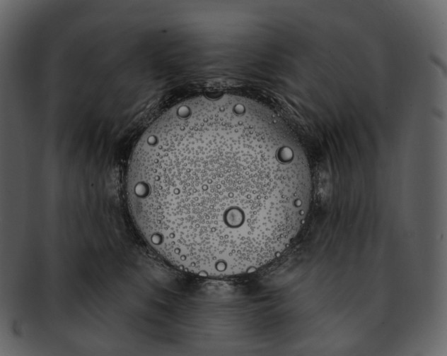 X0000093090519200710171141