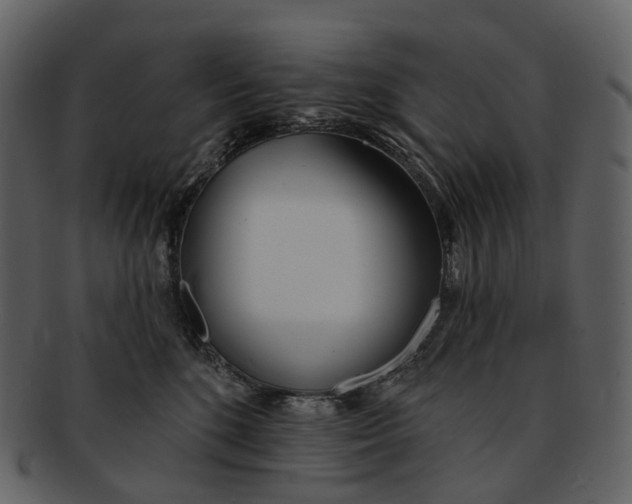 X0000093090520200710171141