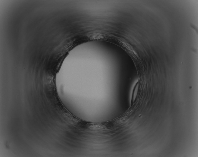 X0000093090521200710171141