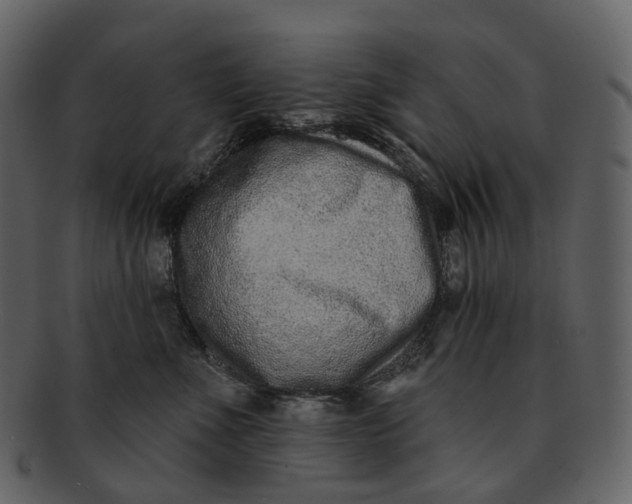 X0000093090523200710171141