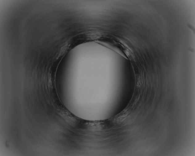 X0000093090524200710171141