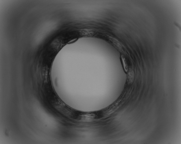 X0000093090525200710171141