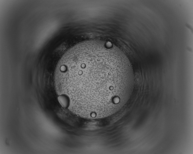 X0000093090527200710171141