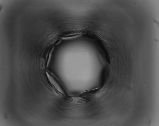 X0000093090528200710171141
