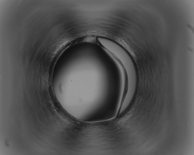 X0000093090530200710171140