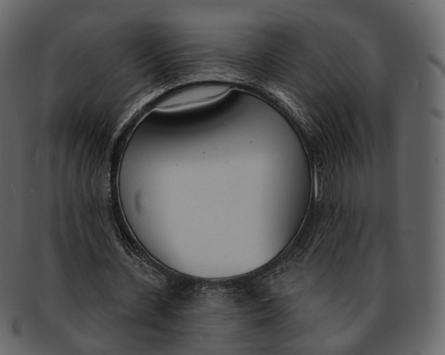 X0000093090531200710171140