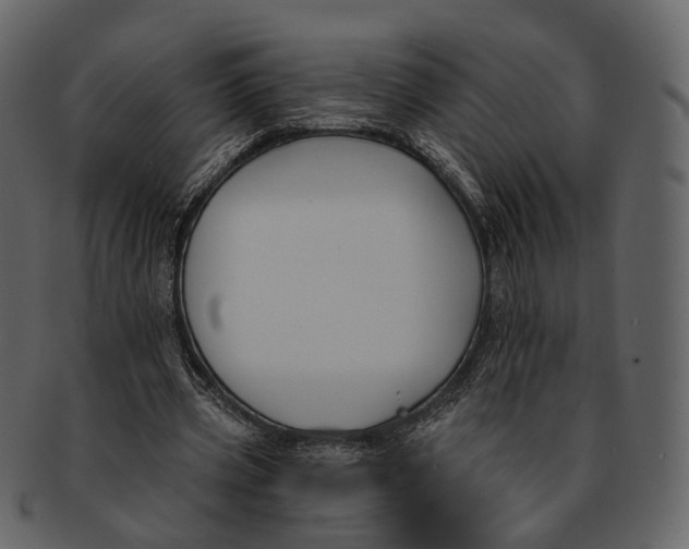 X0000093090533200710171140