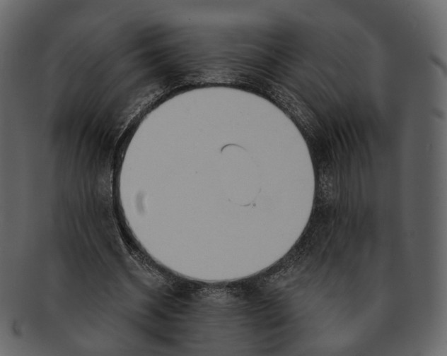 X0000093090534200710171140