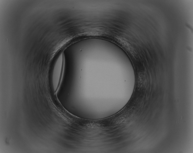 X0000093090535200710171140