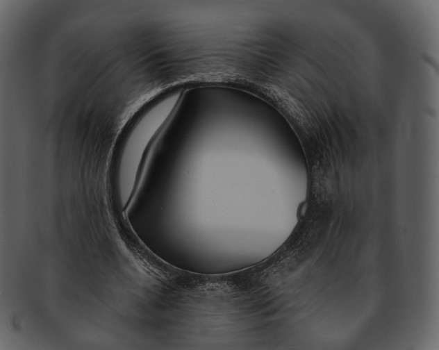 X0000093090536200710171140