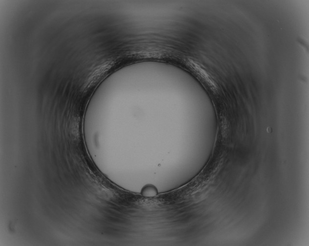 X0000093090537200710171140