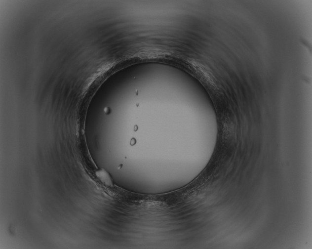 X0000093090539200710171140