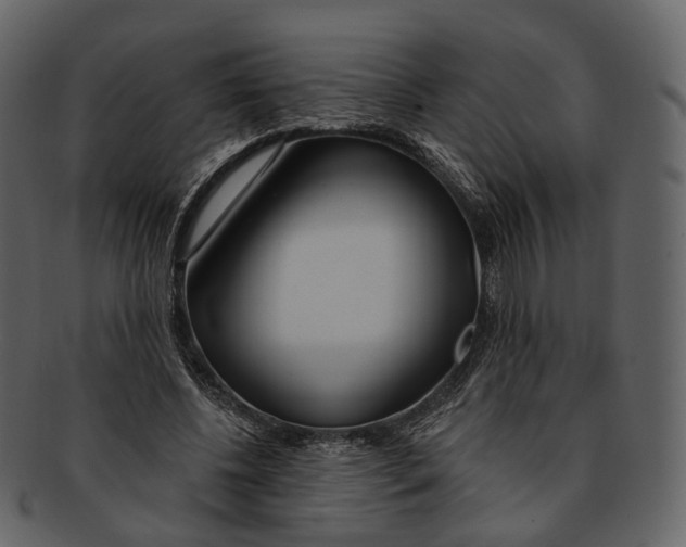 X0000093090540200710171140