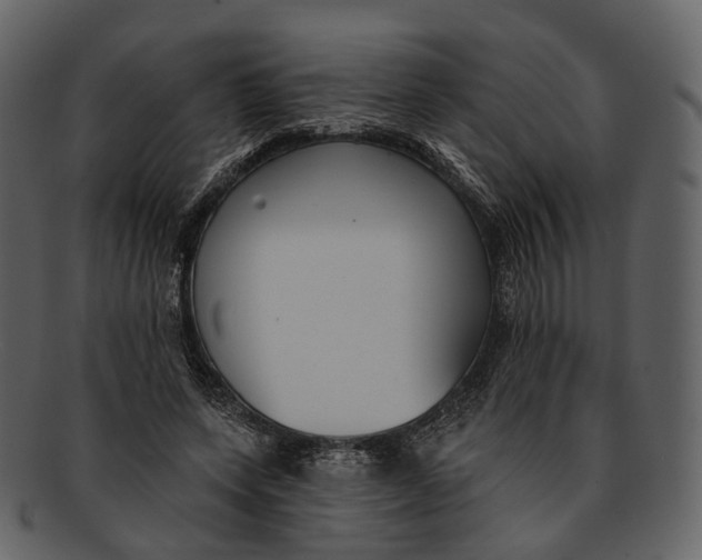 X0000093090543200710171140