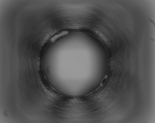 X0000093090544200710171140