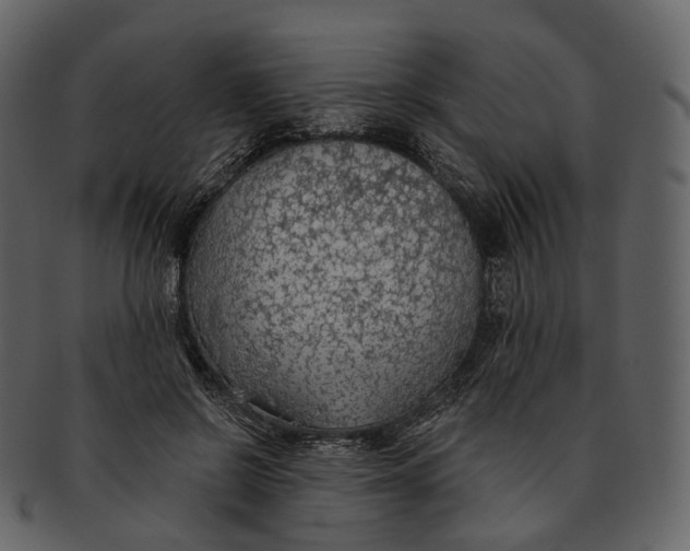 X0000093090550200710171140