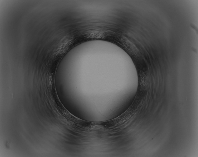 X0000093090551200710171140
