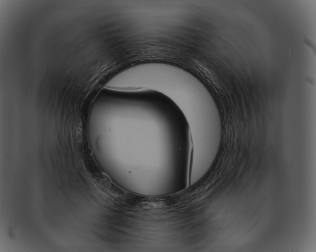 X0000093090552200710171140