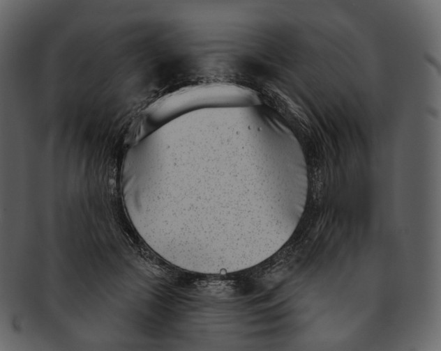 X0000093090553200710171140