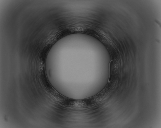 X0000093090555200710171140