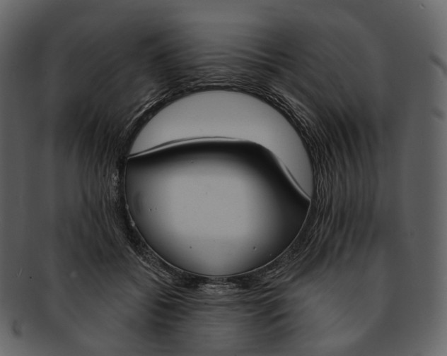 X0000093090556200710171140