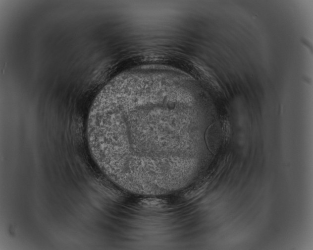 X0000093090557200710171140