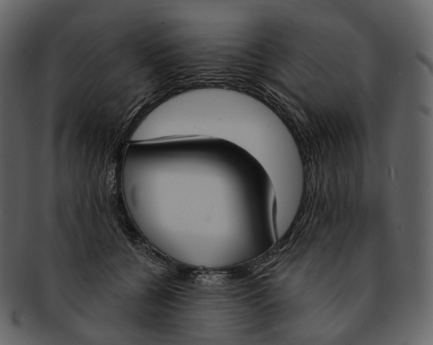 X0000093090560200710171140