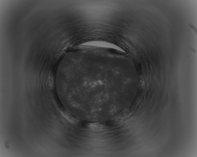 X0000093090568200710171141