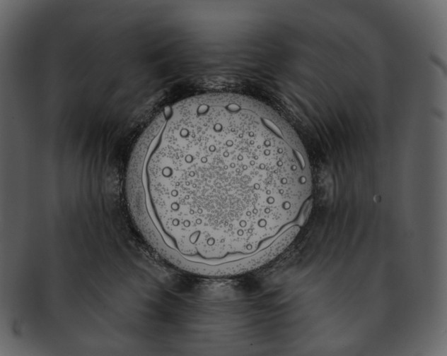 X0000093090569200710171141