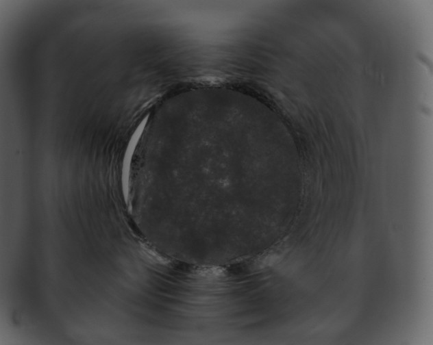 X0000093090576200710171141