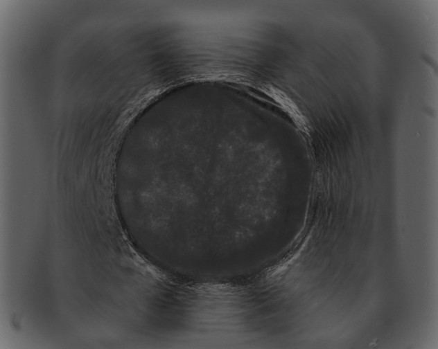 X0000093090577200710171140