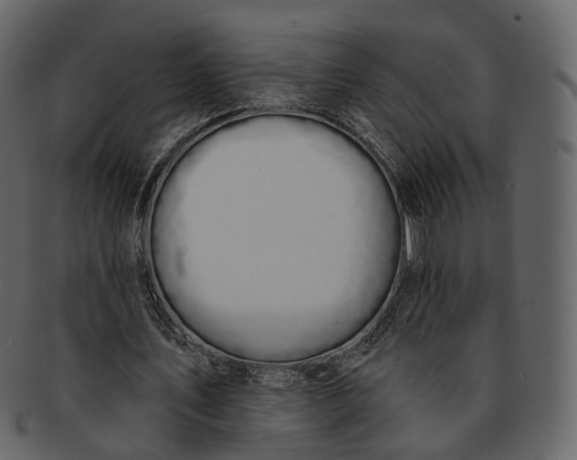 X0000093090579200710171140