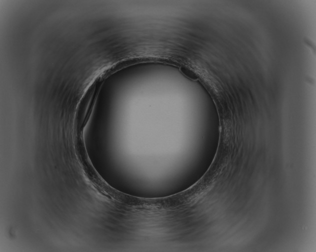 X0000093090580200710171140