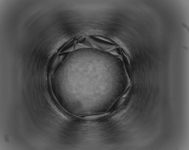 X0000093090581200710171140