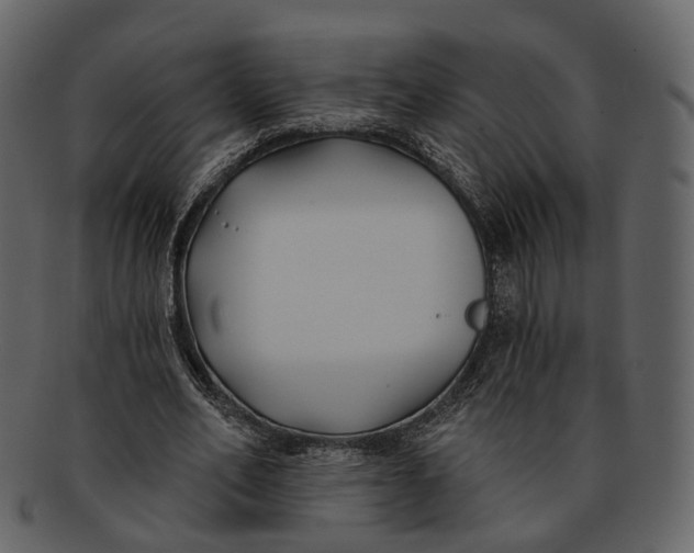 X0000093090582200710171140