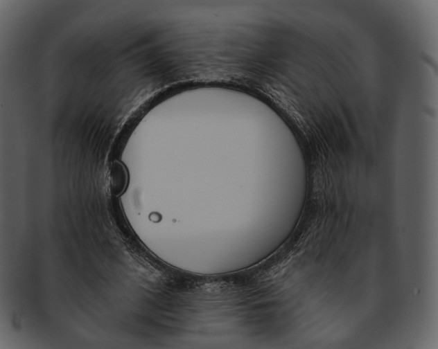 X0000093090584200710171140