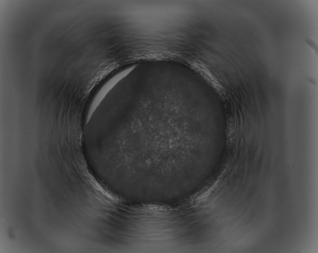 X0000093090585200710171140