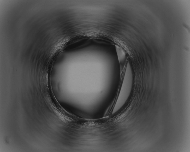 X0000093090589200710171140