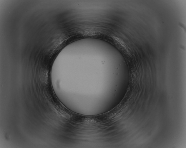 X0000093090596200710171140