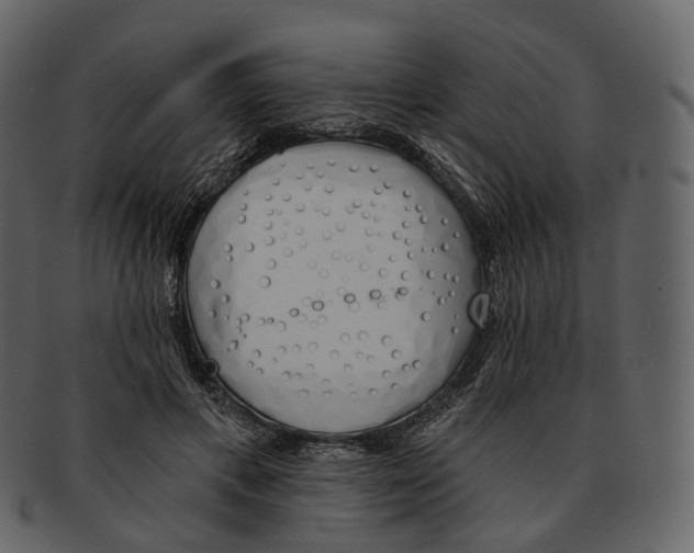 X0000093090597200710171140