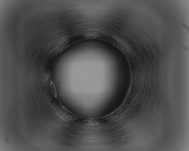 X0000093090601200710171140