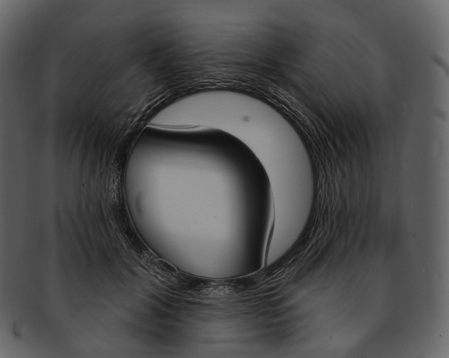 X0000093090604200710171140