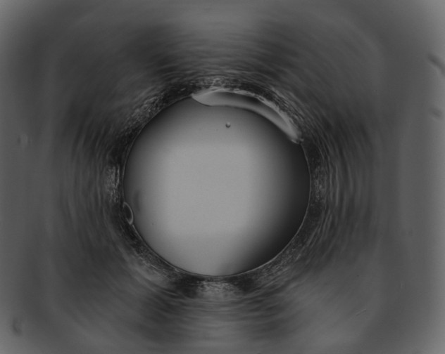 X0000093090605200710171140