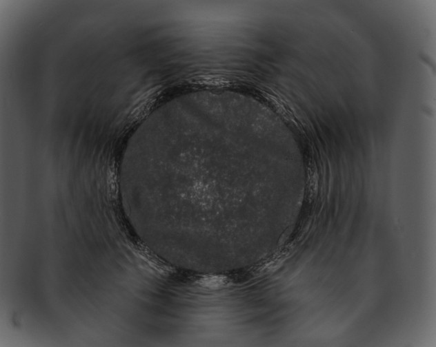 X0000093090609200710171140