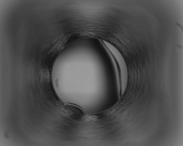 X0000093090617200710171139