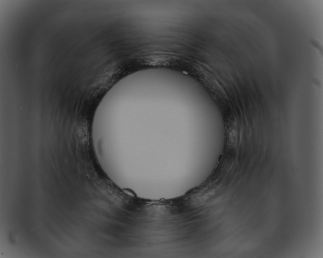 X0000093090620200710171139