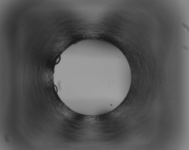 X0000093090624200710171139