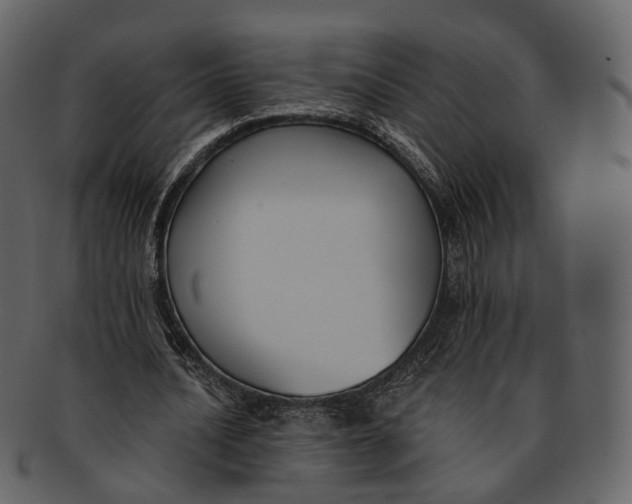 X0000093090628200710171139